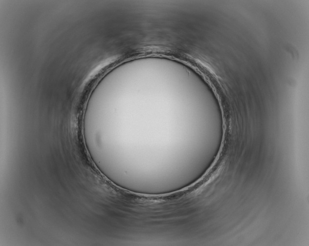 X0000113311309200909140958