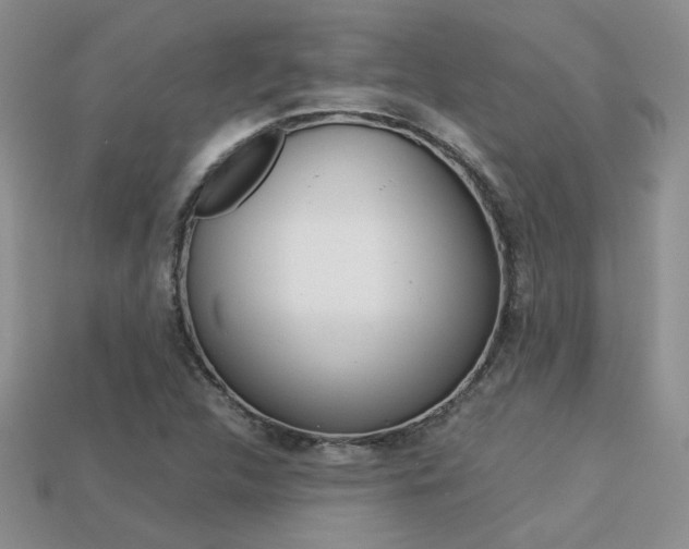 X0000113311312200909140958