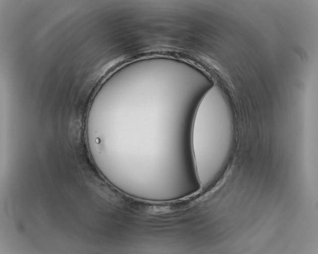X0000113311313200909140958