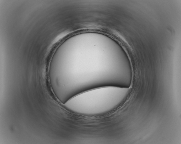 X0000113311315200909140958