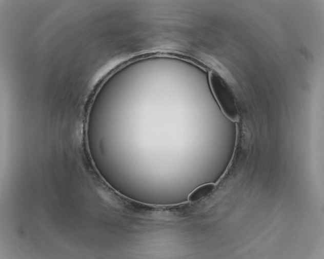 X0000113311316200909140958