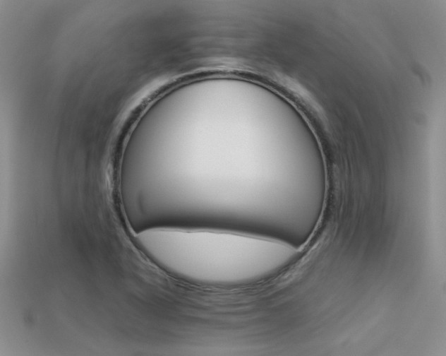 X0000113311318200909140958