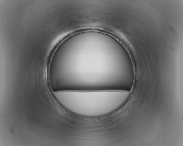 X0000113311320200909140958