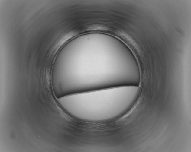 X0000113311321200909140958