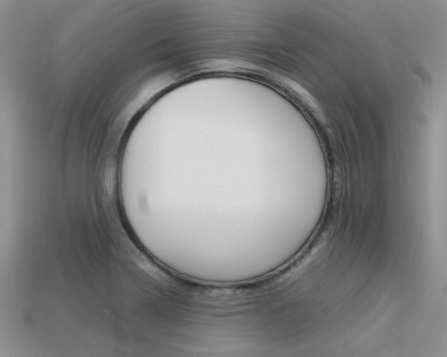 X0000113311322200909140958