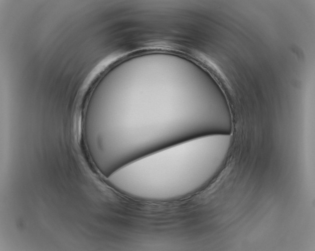 X0000113311323200909140958