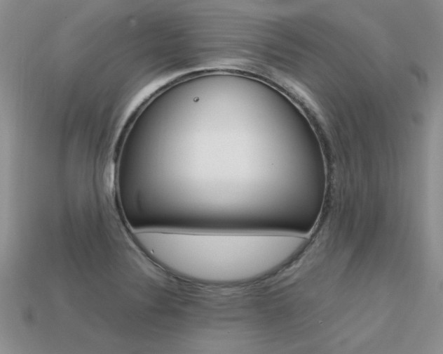 X0000113311324200909140958