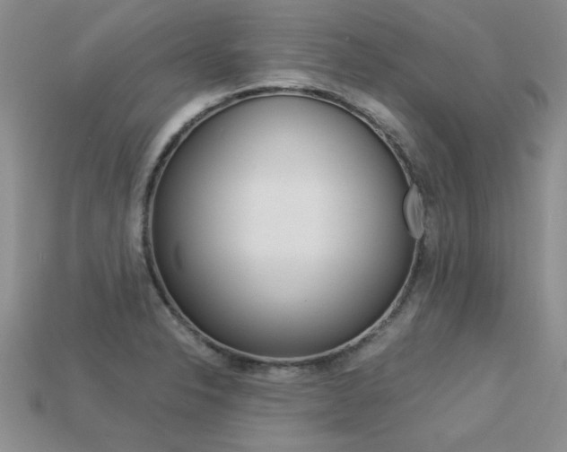 X0000113311326200909140958