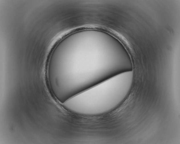 X0000113311327200909140958
