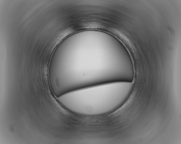 X0000113311329200909140958