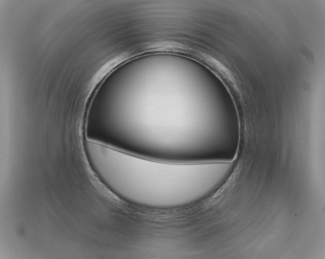 X0000113311330200909140958