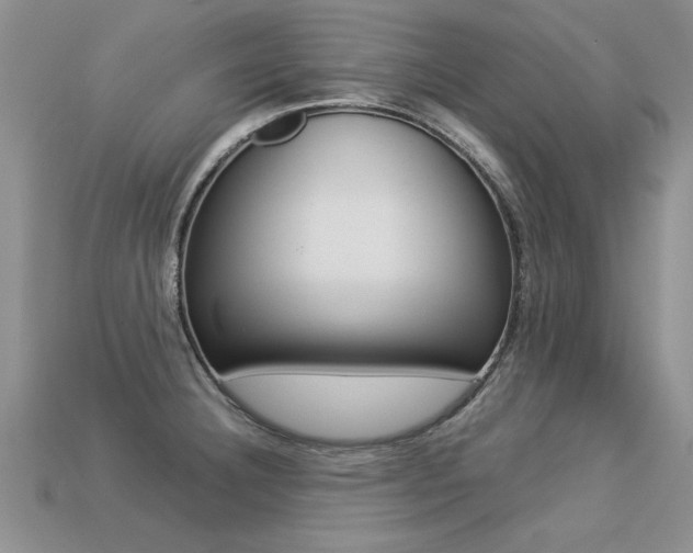 X0000113311332200909140958