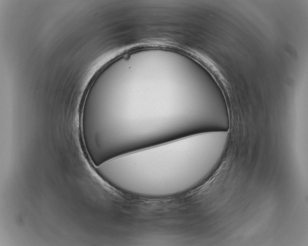X0000113311335200909140958