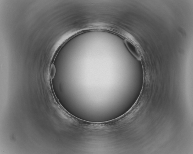 X0000113311336200909140958