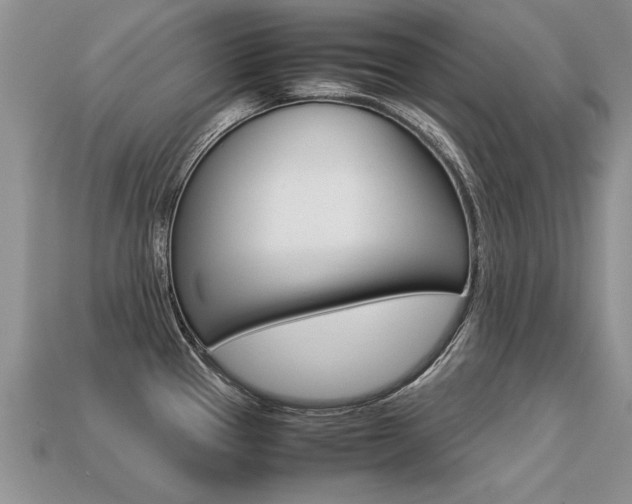 X0000113311337200909140958