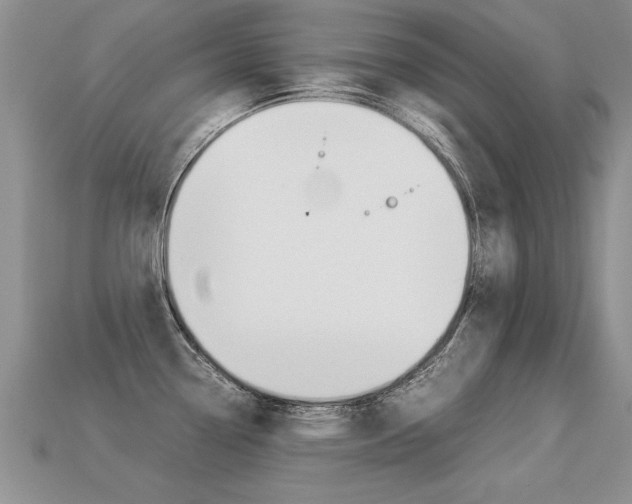 X0000113311338200909140958