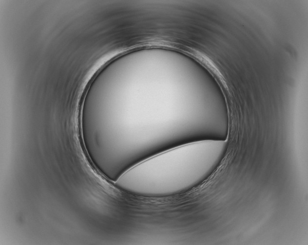 X0000113311339200909140958