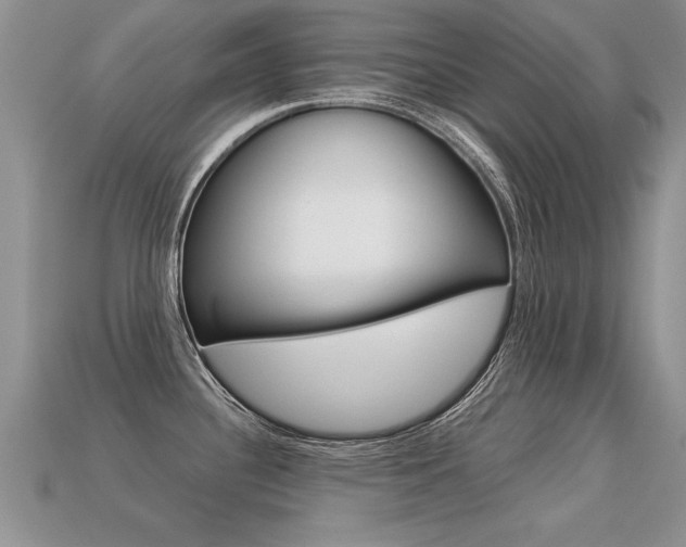 X0000113311340200909140958