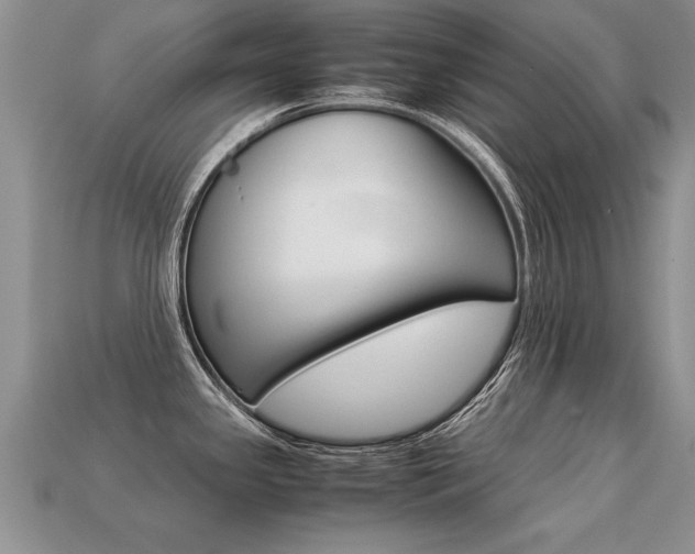 X0000113311341200909140958