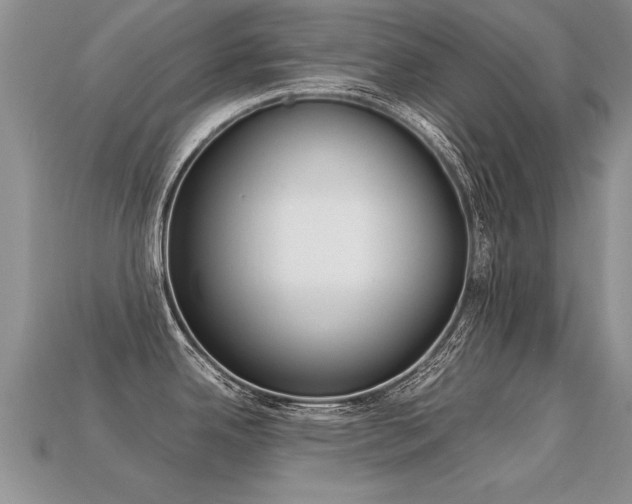 X0000113311342200909140958
