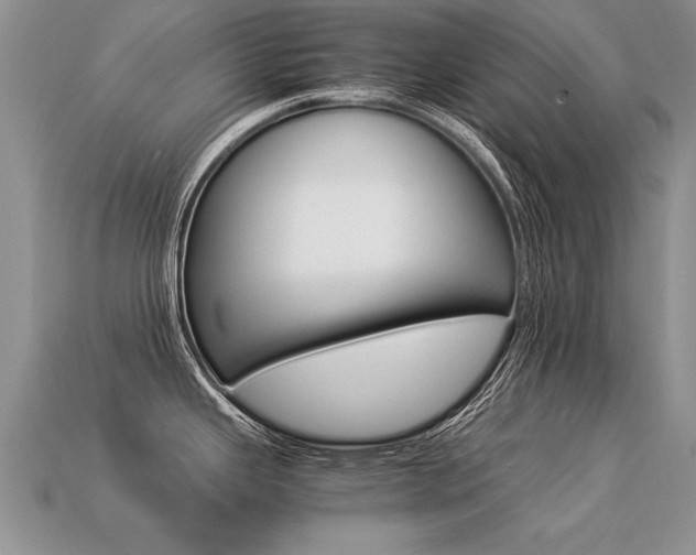 X0000113311343200909140958