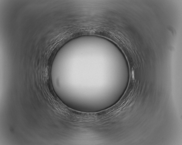 X0000113311347200909140957