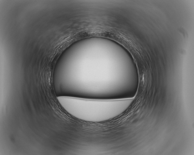 X0000113311348200909140957