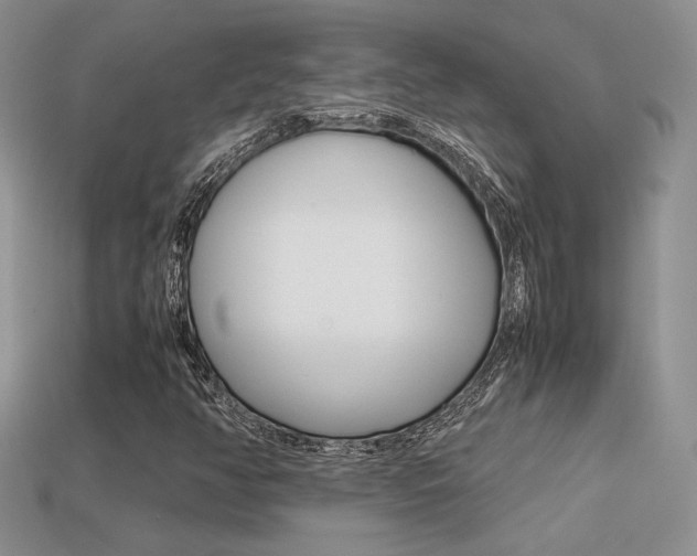 X0000113311350200909140957