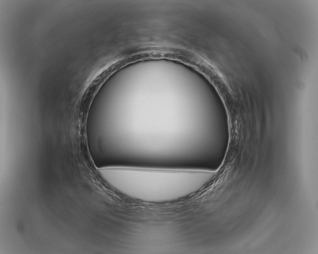 X0000113311352200909140957