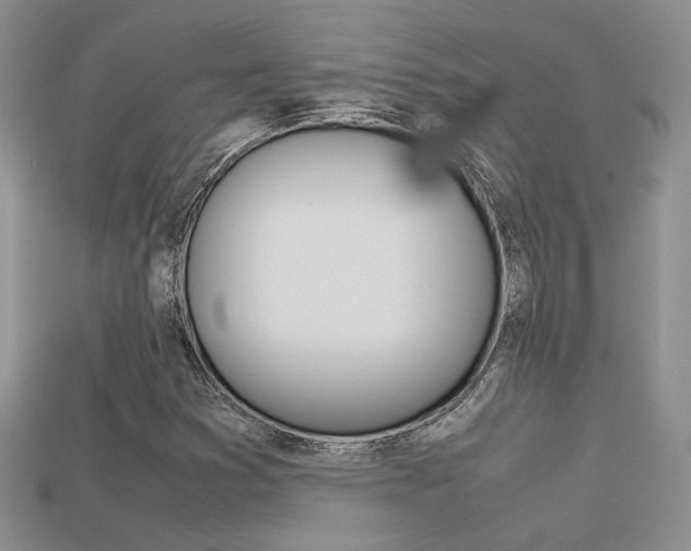 X0000113311353200909140957
