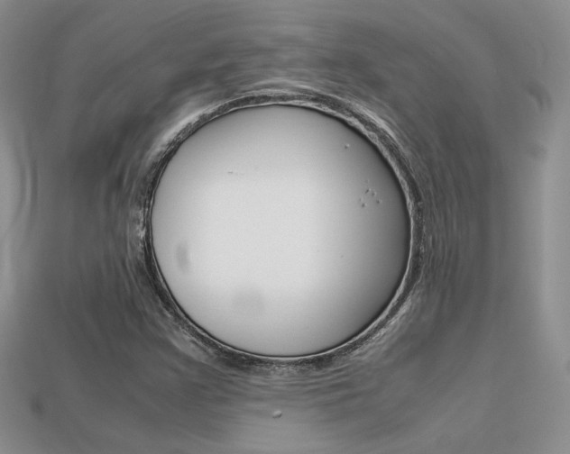 X0000113311355200909140957