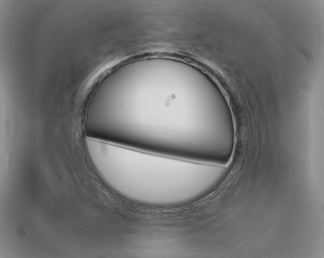 X0000113311359200909140957