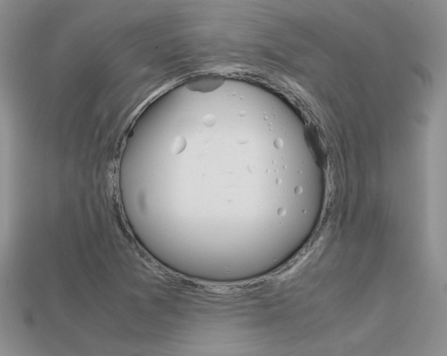 X0000113311361200909140957