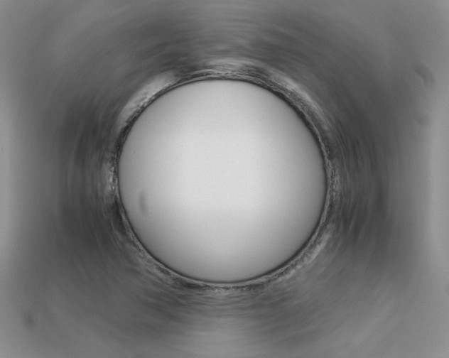 X0000113311362200909140957