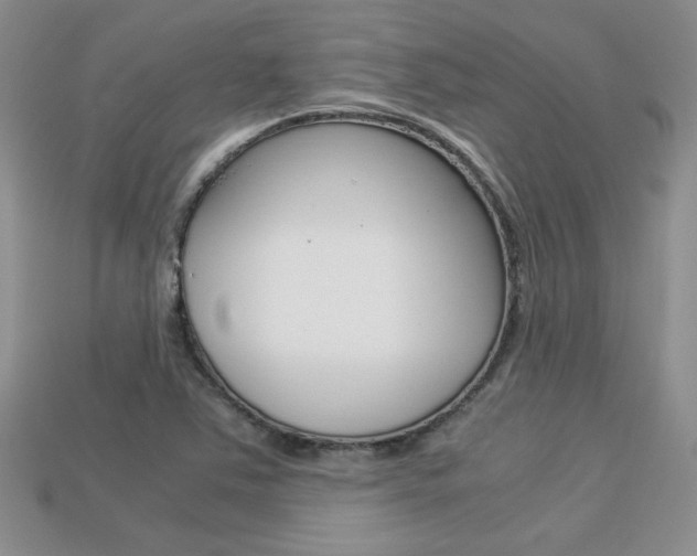 X0000113311363200909140957