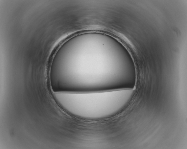 X0000113311364200909140957