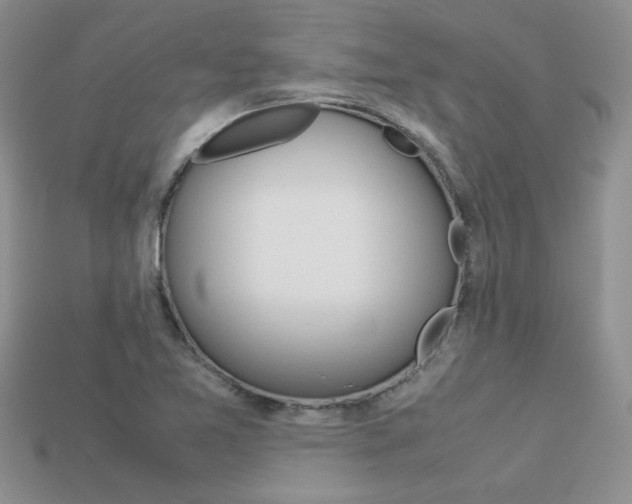 X0000113311365200909140957