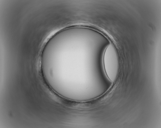 X0000113311367200909140957
