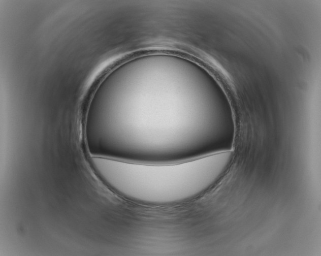 X0000113311368200909140957