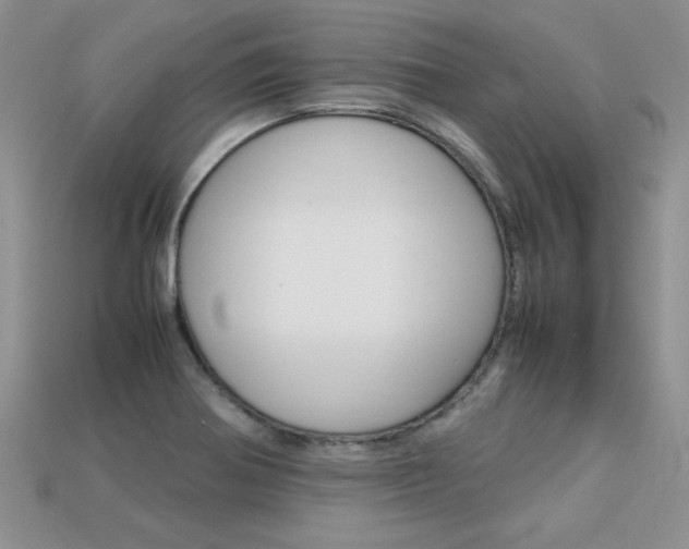 X0000113311370200909140957