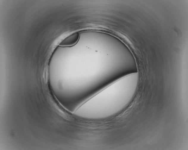 X0000113311371200909140957