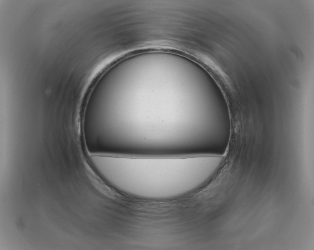 X0000113311372200909140957