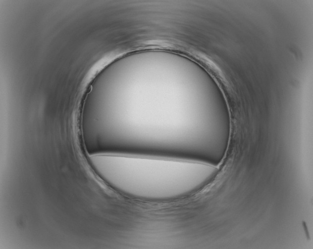 X0000113311373200909140957