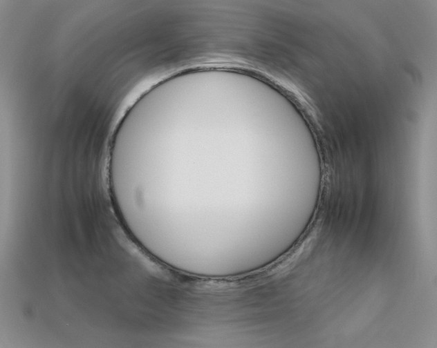 X0000113311374200909140957