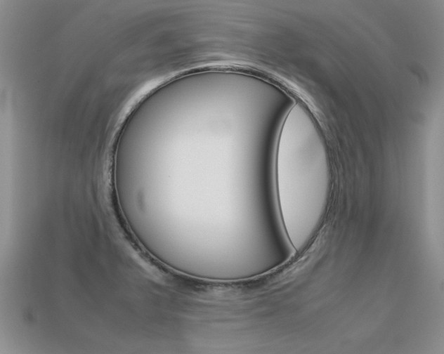 X0000113311375200909140957