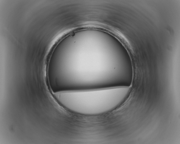 X0000113311376200909140957