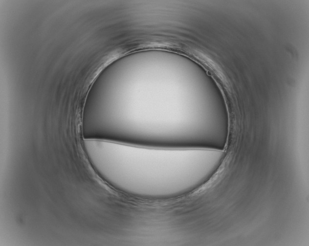 X0000113311377200909140957