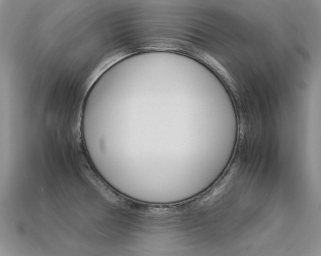 X0000113311378200909140957
