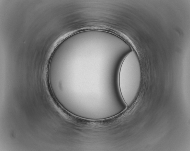 X0000113311379200909140957