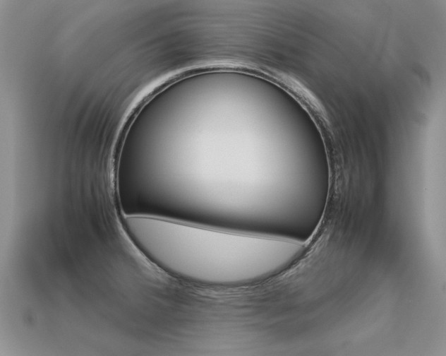 X0000113311380200909140957